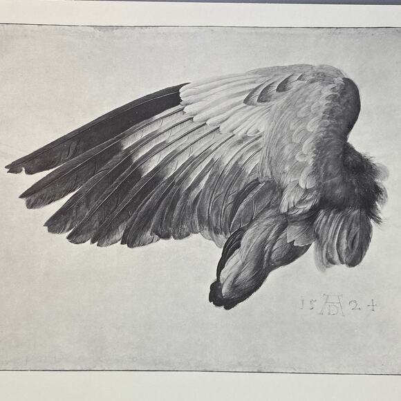Albrecht Durer, Left Wing, Drawing, Print, Bookplate, Classic Art~ 240623-WH 595 - Picture 1 of 3
